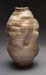 Chen_Allen_24b