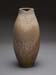 Chen_Allen_29a
