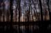 the dusk_1120